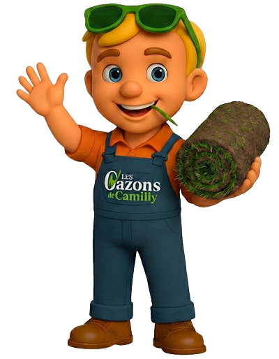 gazon en rouleau caen gazton mascotte